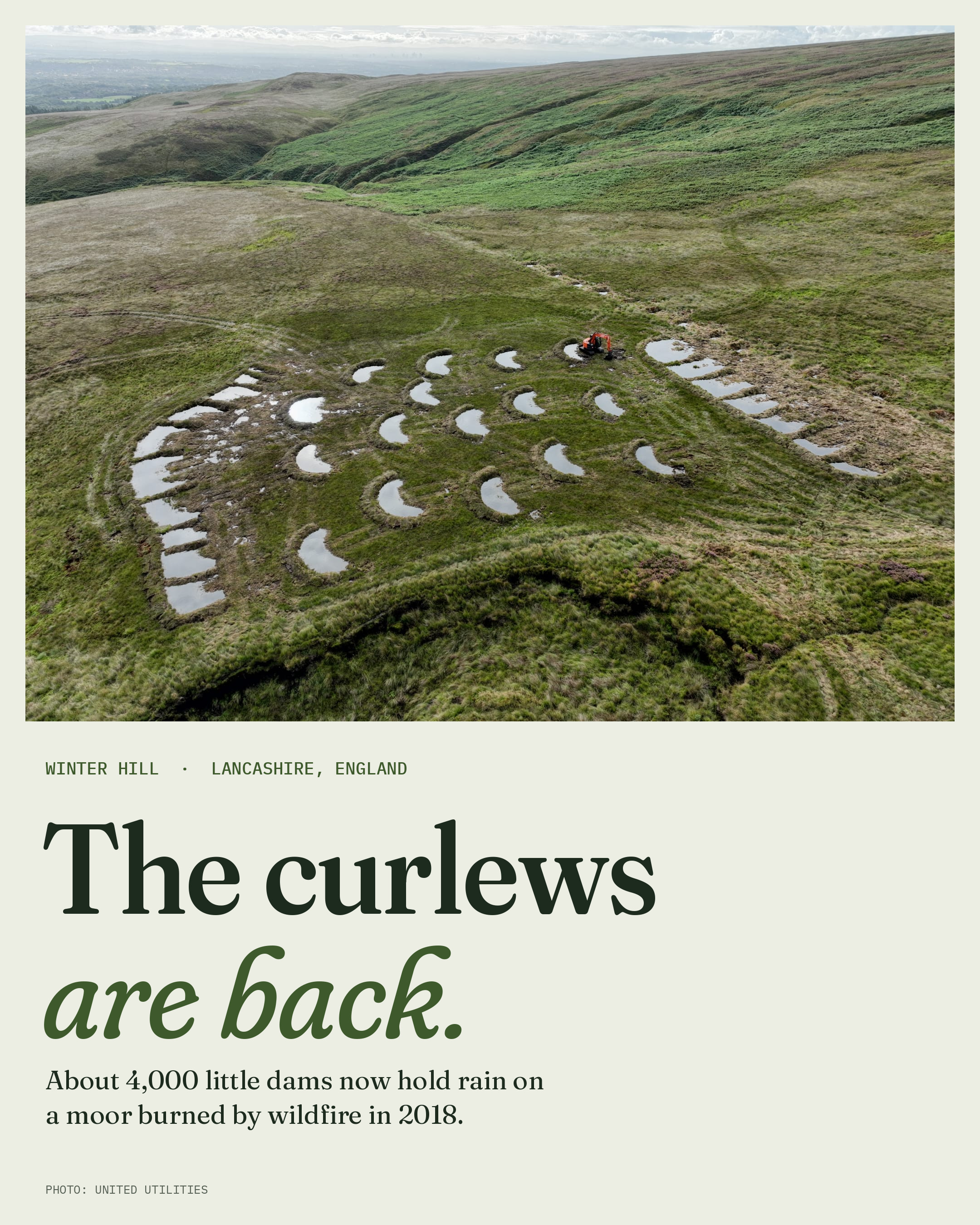 After a huge wildfire in 2018, Winter Hill in England is…