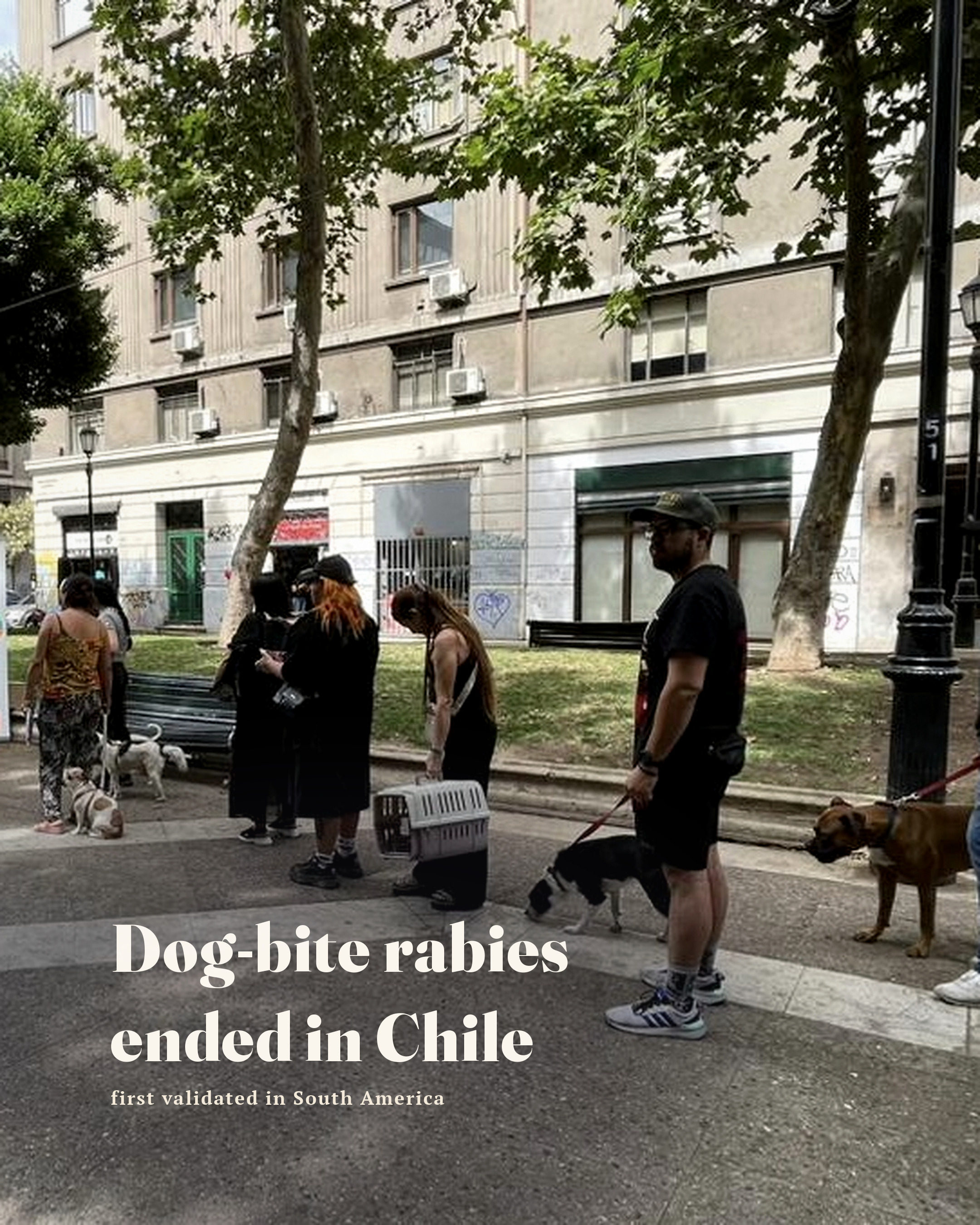 Dog-bite rabies still kills tens of thousands of people a…